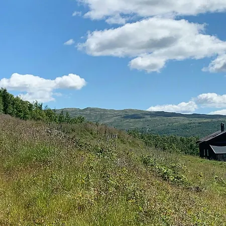 Enjoy Days In Traditional Log Feriehus