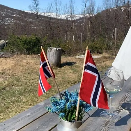 Feriehus Enjoy Days In Traditional Log